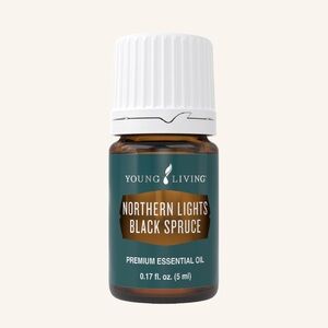 Young Living Northern Lights Black Spruce — 15 ml
